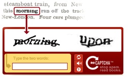 Recaptcha para usar no seu site