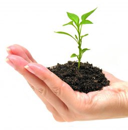 Desenvolvimento sustentável do planeta